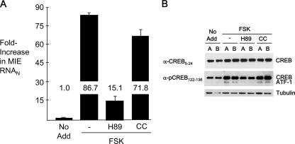 FIG. 6.