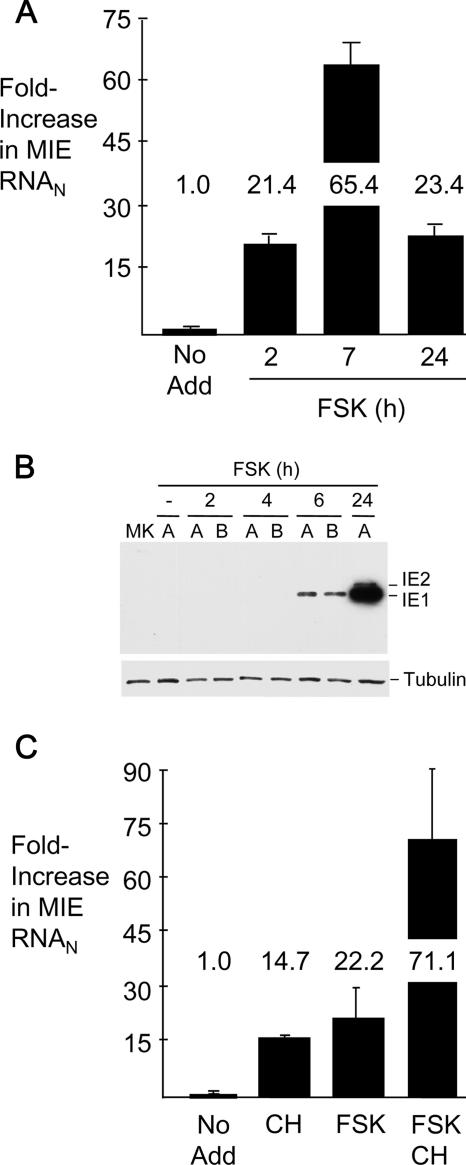 FIG. 4.