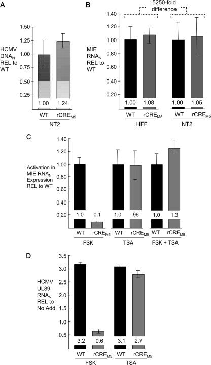 FIG. 8.