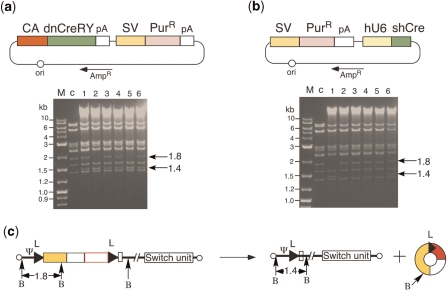 Figure 5.