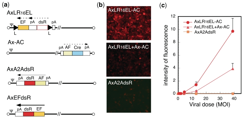 Figure 7.