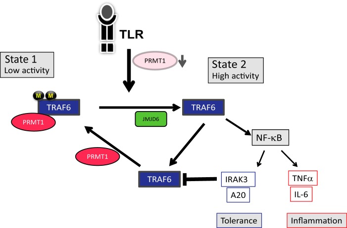 FIGURE 9.