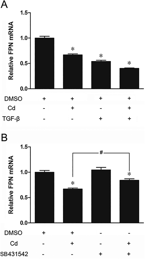 Fig. 9.