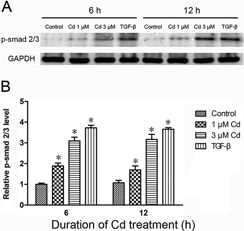 Fig. 8.