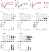 Figure 7