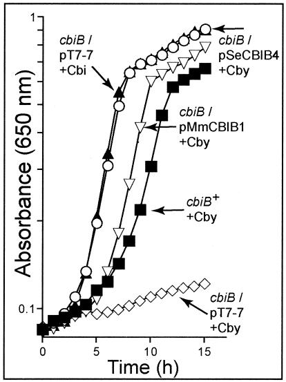 FIG. 5.