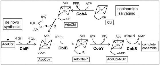 FIG. 6.