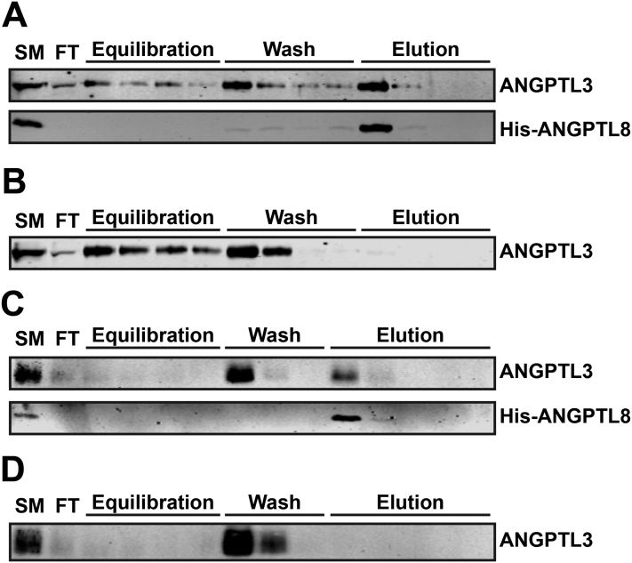 Figure 3