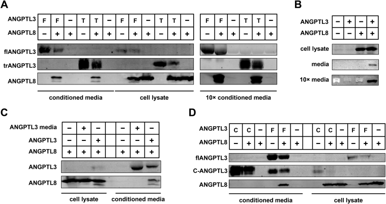 Figure 5