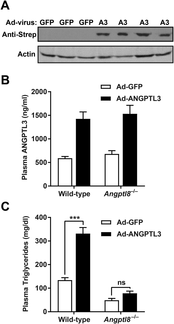 Figure 7