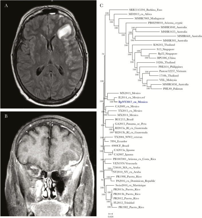 Figure 1.