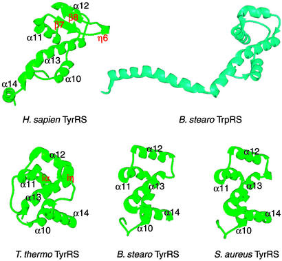 Fig 4.