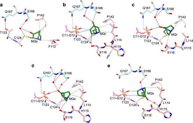 Fig. 7