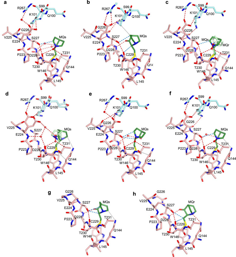 Fig. 8