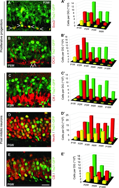 Figure 4.