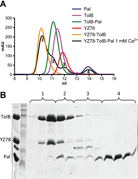 Fig. 6