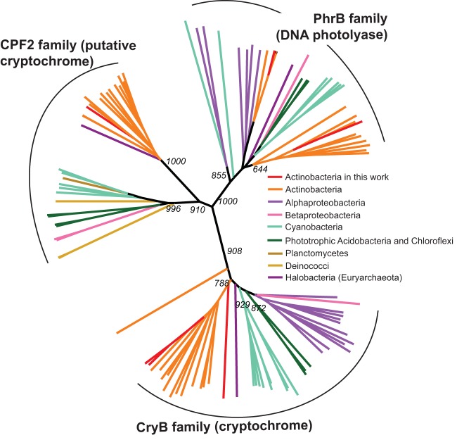 FIG 6