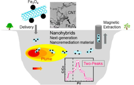 graphic file with name nihms-1609000-f0001.jpg