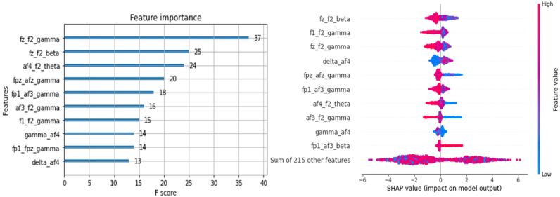 Figure 1