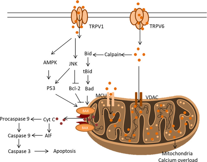 Figure 6