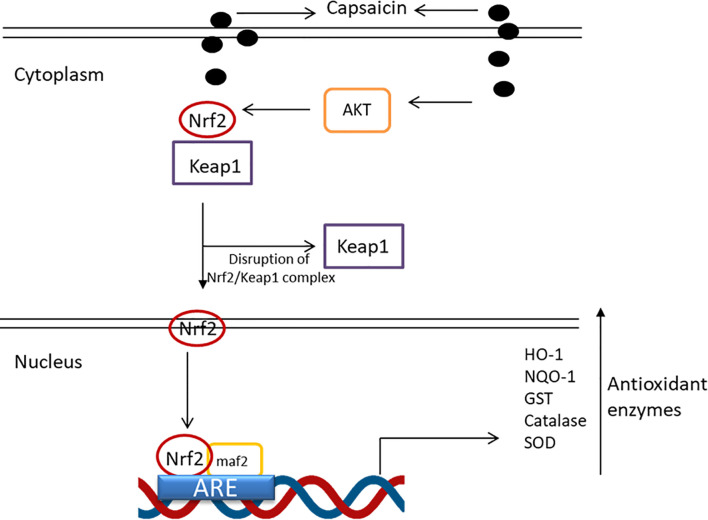 Figure 4
