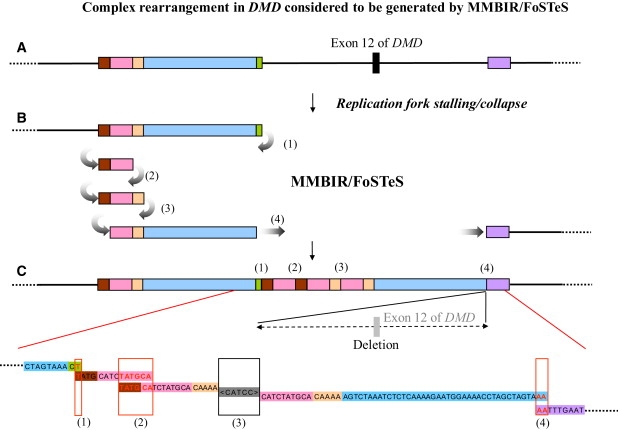 Figure 5