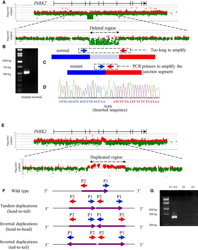 Figure 1