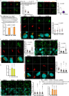 Extended Data Fig. 4