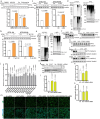 Extended Data Fig. 6