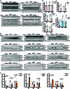 Extended Data Fig. 1