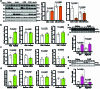 Extended Data Fig. 2