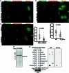 Extended Data Fig. 7