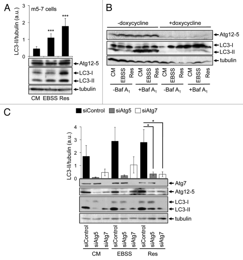 Figure 6.