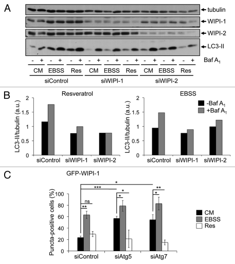 Figure 7.