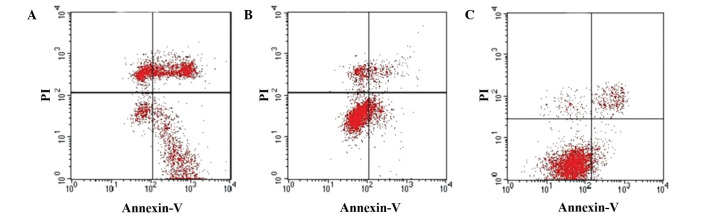 Figure 6.