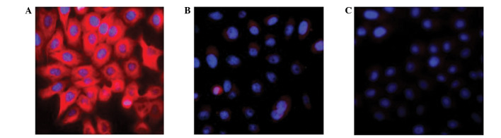 Figure 2.