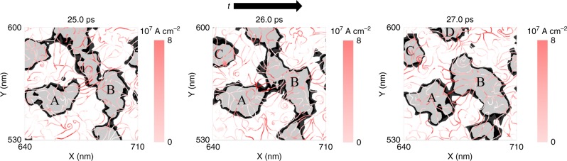 Fig. 8