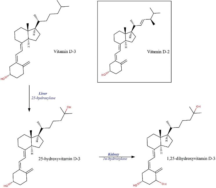 FIGURE 2