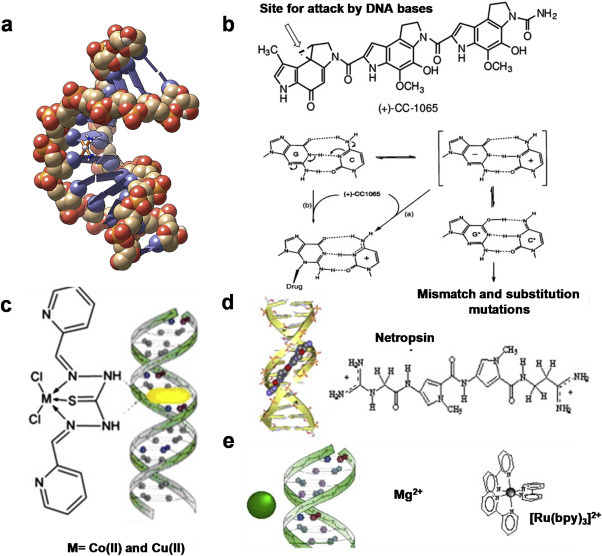 Fig. 2