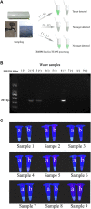 FIGURE 4