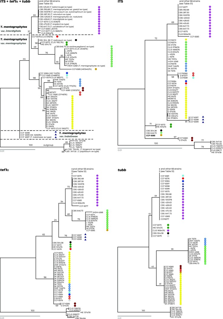 Figure 1.