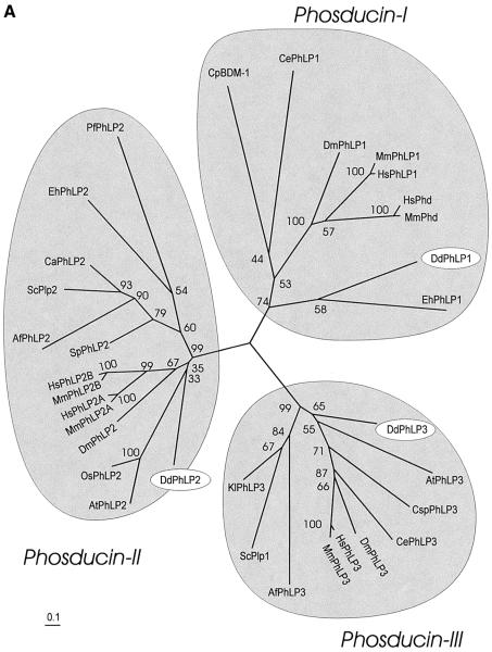 graphic file with name cdg508f1a.jpg