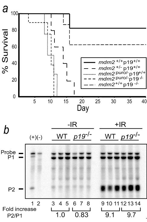 FIG. 5.
