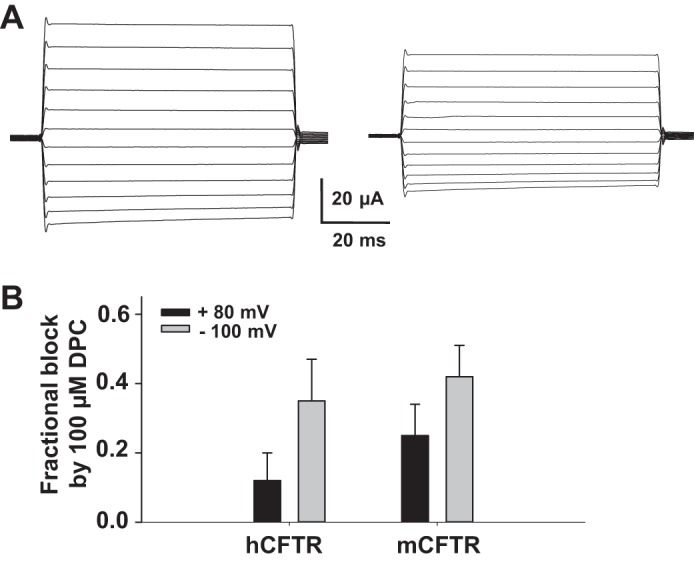 Fig. 12.