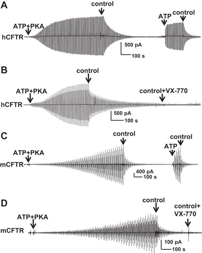 Fig. 9.