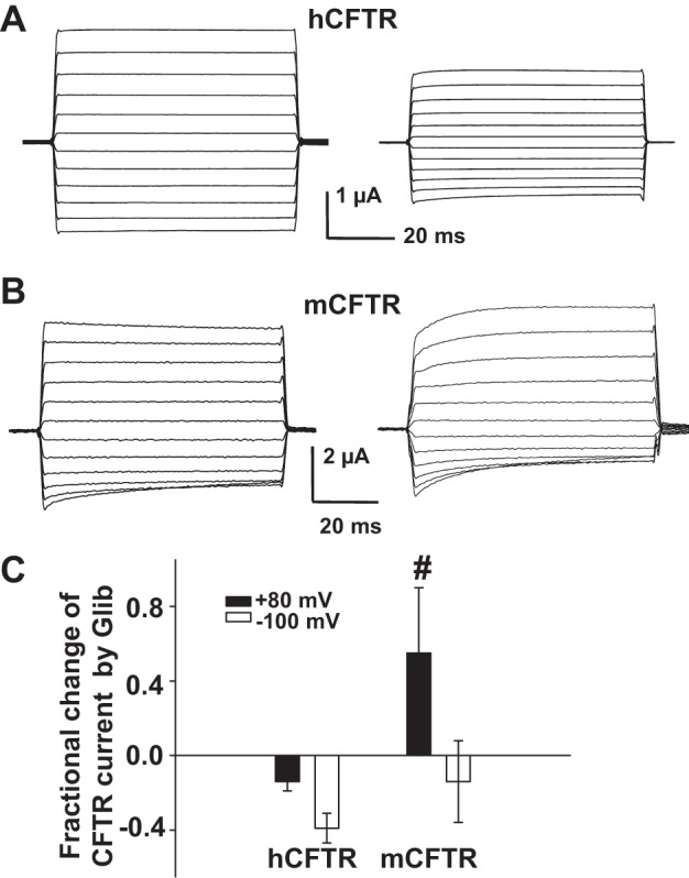 Fig. 11.