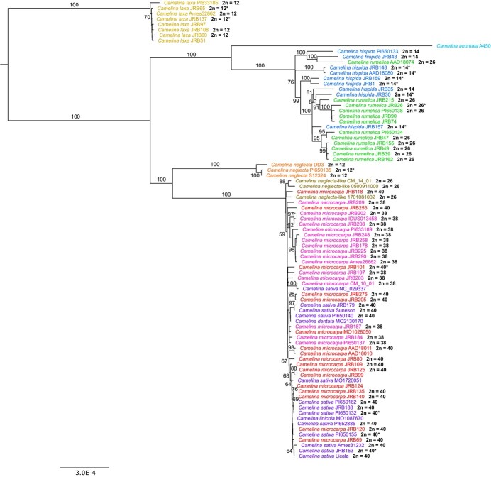 Figure 2