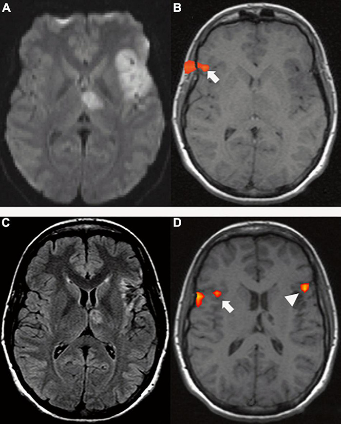 FIGURE 6