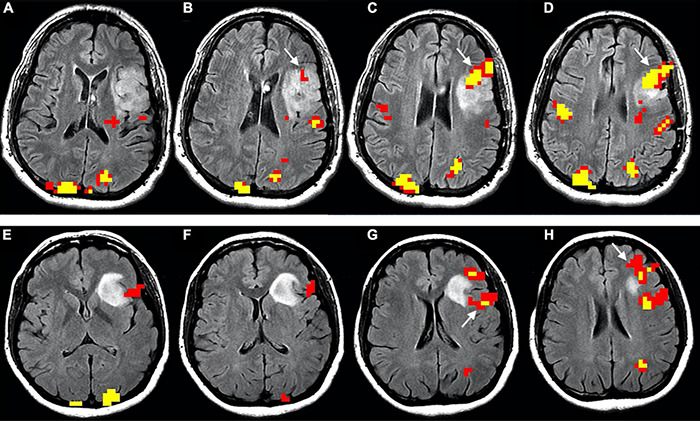 FIGURE 4