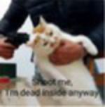 graphic file with name fpsyg-15-1424728-i030.jpg